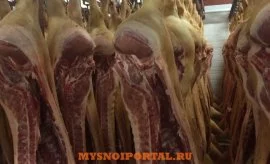 Sale, Мясо (свинина) оптом от производителя