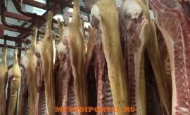 Sale, Мясо (свинина) оптом от производителя