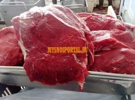 Мясо блочная говядина оптом