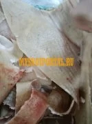 Продаю Шкура свиные , зам, от 100 кг в Воронеже, от 100 кг, ТУ