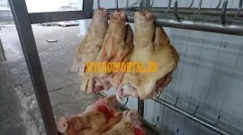 Продаю Головы свиные , РФ зам, от 100 кг в Санкт-П, зам
