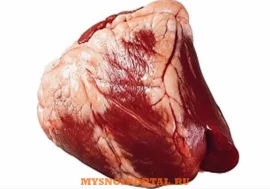 Куплю субпродукты говяжьи ГОСТ: сердце/печень/ язы, Meleuz