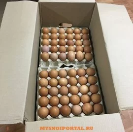 Купим оптом куриное яйцо