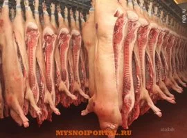 Куплю: свинину полужирную