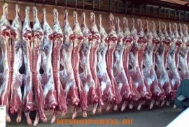 Купим: свежее мясо говядины