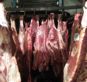 говяжьи - язык Батырево