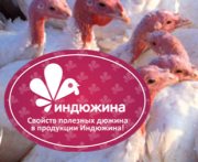 Продаем мясо индейки Зеленодольск