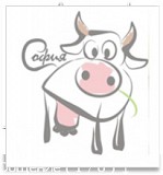 Ноги говяжьи доставка из г.Барнаул