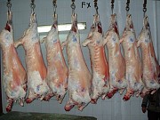 Мясо Баранина оптом Тула