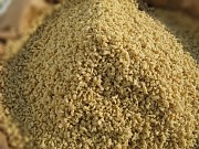 Соевый текстурат. Москва