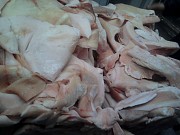 Куплю: шпик на шкуре до 2 см Москва