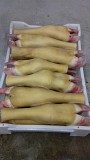 Продаю Ноги говяжьи зам от 100 кг  в Ижевске  доставка из г.Ижевск