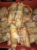 Ноги свиные микс опалка+шпарчан Ижевск