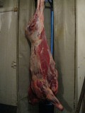 Продаю Полутуши Говяжьи АГРЫЗСКИЙ МЯСОКОМБИНАТ.,  ГОСТ, ТУ,  охл, в Агрызе  доставка из г.Агрыз