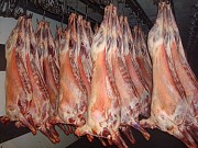Куплю: баранину Краснодар