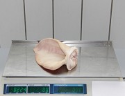 Продам субпродукты свиные доставка из г.Москва