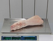 Продам ноги свиные задние доставка из г.Москва