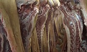 Мясо (свинина) оптом от производителя доставка из г.Воронеж