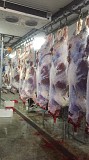 Говядина (бык) полутуша оптом Минск