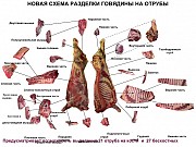 Куплю: Говядину (охл) Рязань