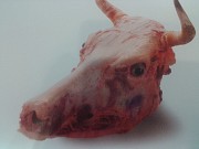 Куплю: головы говяжьи, ограбленные Москва