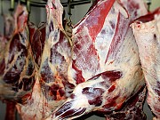Говядина н/к, б/к, Мясо цыплят бройлера, куриное филе доставка из г.Самара