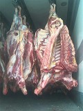 Мясо Говядины туша корова бык охл.зам. производитель Белоруссия Казань