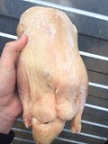 Утка тушка Гост Халяль 2, 0кг+ Самара