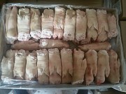 Продаю Ноги свиные РФ Охл/Зам, от 100 кг, от 1 тонны  в Липецке  Липецк