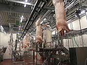 Убойный цех Саранск