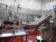 Машина моечная  для измельчения и промывки остатков от переработки кишок Саранск