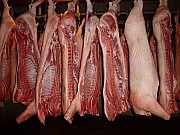 Свинина оптом, 1ая категория доставка из г.Казань