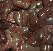 Почки свиные доставка из г.Чернянка
