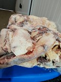 Продаю Блочная говядина  ГОСТ, ТУ,  зам, в Ярцево  Ярцево