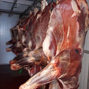 Говядина охлажденная Москва