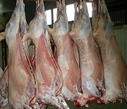 Говядина, баранина, мясо птицы, куриная разделка оптом от 1, 5 тонны Уфа