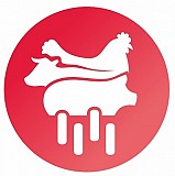 Свиная кость 20% (копчиковая) зам производства "агро-белогорье" 5-18т доставка из г.Белгород