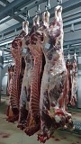 Говядина 1, 2 категории, бычки оптом от производителя г.набережные Челны доставка из г.Набережные Челны