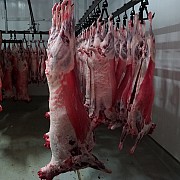 Мясо баранина Екатеринбург