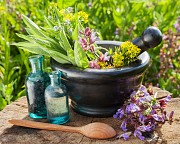 Травяные сборы онкология и паралич Москва