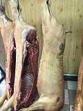 Свинина в полутушах Челябинск