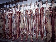 Мясо в полутушах Бык (от 180 кг) Ростов-на-Дону