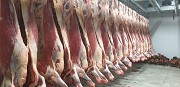 Мясо в полутушах Телка (от 160 кг) Ростов-на-Дону