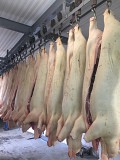 Продаю Полутуши Свиные Сорочинский МК, Охл/Зам, категория - II (мясная – молодняк) в Сорочинске  доставка из г.Сорочинск