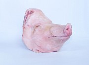 Головы свиные купим Новосибирск