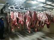Продаю Полутуши Говяжьи РФ, ГОСТ, н/к,  зам,в Москве  Москва
