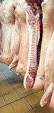  Куплю Полутуши Свиные н/к Охл/Зам, категория - I (беконная), II (мясная – молодняк) в Москве  Москва