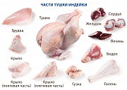 Реализуем мясо Индейки в охл/зам виде от производителя со склада в Чебоксарах, договорная Чебоксары