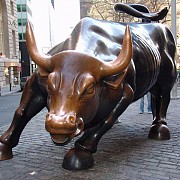  Куплю Коровы, на убой в Саяногорске  Саяногорск