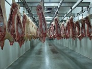 Продаю Разделка свиная н/к зам, категория - I (беконная), II (мясная – молодняк) в Москве  Москва